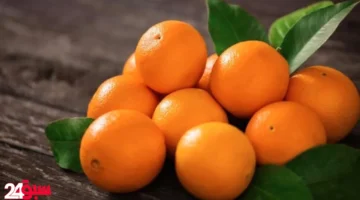 البرتقال كنز من الفوائد.. اكتشف ماذا يحدث لجسمك عند تناوله يوميًا